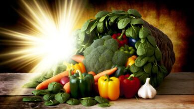 boosting immunity through plant based eating