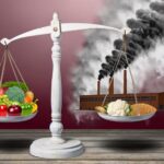 diet choices and climate
