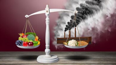 diet choices and climate