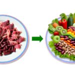 transitioning towards plant based eating